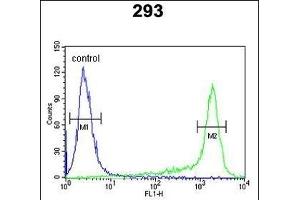 PRDX6 Antibody (Center) (ABIN650765 and ABIN2839536) flow cytometric analysis of 293 cells (right histogram) compared to a negative control cell (left histogram). (Peroxiredoxin 6 Antikörper  (AA 103-132))