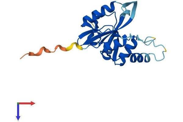 JOSD2 Protein (AA 1-188) (His tag)