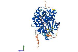 Protein Structure (PS) image for Mitogen-Activated Protein Kinase Kinase 2 (MAP2K2) (AA 1-400) protein (His tag) (ABIN7549526)