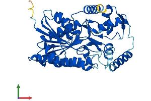 Protein Structure (PS) image for Hydroxy-delta-5-Steroid Dehydrogenase, 3 beta- and Steroid delta-Isomerase 7 (HSD3B7) (AA 1-369) protein (His tag) (ABIN7561394)