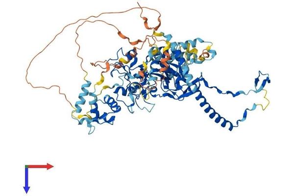 EZH2 Protein (AA 1-746) (His tag)