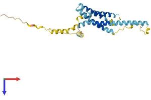AlphaFold protein structure predicition of Human Recombinant TMEM176A Protein, UniprotID Q96HP8