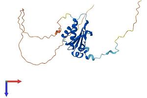 C7orf30 Protein (AA 1-228) (His tag)