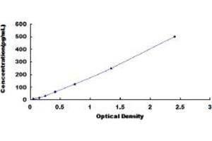 Typical standard curve (CCL3 ELISA Kit)