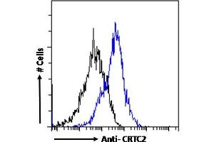 ABIN5539499 Flow cytometric analysis of paraformaldehyde fixed HeLa cells (blue line), permeabilized with 0. (CRTC2 Antikörper  (C-Term))
