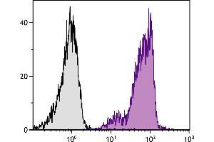 BALB/c mouse bone marrow cells were stained with Rat Anti-Mouse CD44-SPRD. (CD44 Antikörper  (SPRD))