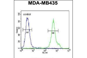 Flow cytometric analysis of MDA-MB435 cells (right histogram) compared to a negative control cell (left histogram). (CD1e Antikörper  (AA 184-212))