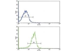 Flow Cytometry (FACS) image for anti-Secreted Protein, Acidic, Cysteine-Rich (Osteonectin) (SPARC) (AA 224-251) antibody (ABIN3032525)