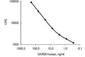 Antigen: Human GAPDH, Capture: GAPDH antibody (10R-G109a) served as a coating; Detection: GAPDH antibody (10R-G109a)  (labelled with stable Eu3+ chelate). (GAPDH Antikörper)