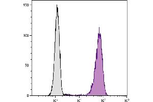 Human peripheral blood granulocytes were stained with Mouse Anti-Human CD16-AF488. (CD16 Antikörper)