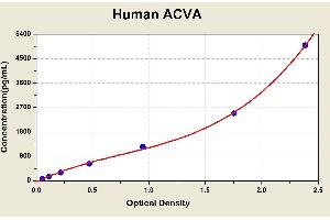 Diagramm of the ELISA kit to detect Human ACVAwith the optical density on the x-axis and the concentration on the y-axis. (ACVA ELISA Kit)