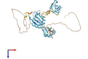 HNRNPF Protein (AA 1-415) (His tag)