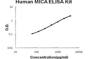 Human MICA PicoKine ELISA Kit standard curve