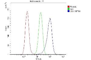Flow Cytometry analysis of A549 cells using anti-ULK1 antibody (ABIN7602755). (ULK1 Antikörper  (C-Term))
