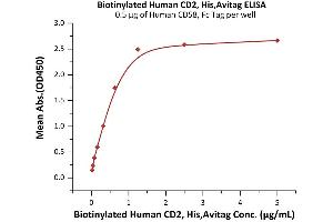 ELISA image for CD2 (CD2) (AA 25-209) (Active) protein (His tag,AVI tag,Biotin) (ABIN7013810)
