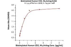 Immobilized Human CD58, Fc Tag (ABIN5526666,ABIN5526667) at 5 μg/mL (100 μL/well) can bind Biotinylated Human CD2, His,Avitag (ABIN6992421) with a linear range of 0.