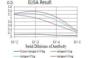 Black line: Control Antigen (100 ng), Purple line: Antigen(10 ng), Blue line: Antigen (50 ng), Red line: Antigen (100 ng), (BMP2 Antikörper  (AA 283-396))