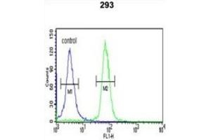 Flow Cytometry (FACS) image for anti-serine/threonine Kinase 40 (STK40) antibody (ABIN3004006) (STK40 Antikörper)