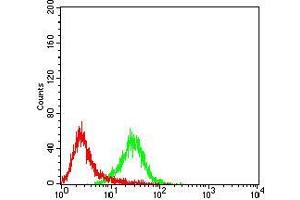 Flow Cytometry (FACS) image for anti-Protein-tyrosine Phosphatase 1C (PTPN6) (AA 243-541) antibody (ABIN5874772) (SHP1 Antikörper  (AA 243-541))