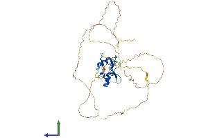 AlphaFold protein structure predicition of Mouse Recombinant Gata5 Protein, UniprotID P97489