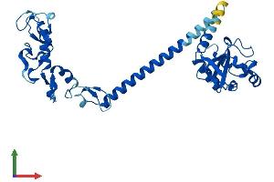 Protein Structure (PS) image for Ring Finger Protein 41 (RNF41) (AA 1-317) protein (His tag) (ABIN7564353)