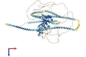 LIPA3 Protein (AA 1-1194) (His tag)