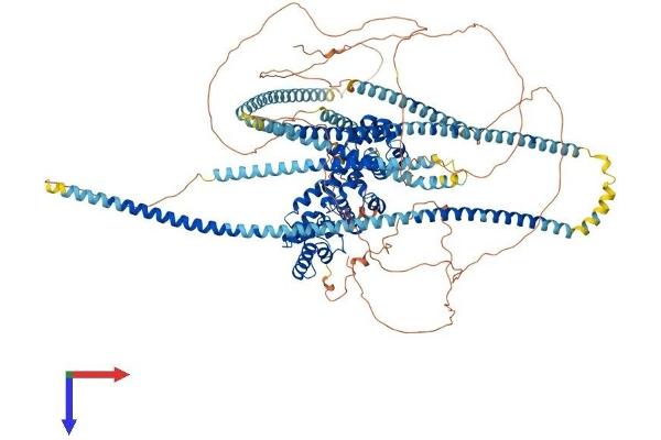 LIPA3 Protein (AA 1-1194) (His tag)