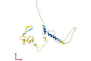Protein Structure (PS) image for Tumor Protein P53 Inducible Nuclear Protein 2 (TP53INP2) (AA 1-220) protein (His tag) (ABIN7544105)
