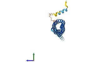 Protein Structure (PS) image for Transmembrane Protein 17 (TMEM17) (AA 1-198) protein (His tag) (ABIN7559446)