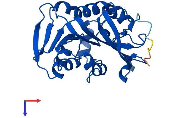 TPMT Protein (AA 1-240) (His tag)