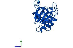 Protein Structure (PS) image for Dual Specificity Phosphatase 3 (DUSP3) (AA 1-185) protein (His tag) (ABIN7547217)