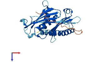 EXOSC5 Protein (AA 1-235) (His tag)
