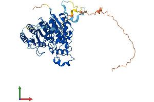 Protein Structure (PS) image for Histone Deacetylase 1 (HDAC1) (AA 1-482) protein (His tag) (ABIN7562248)