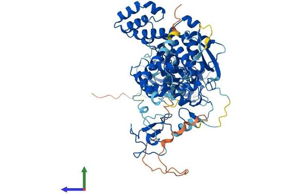 G2E3 Protein (AA 1-706) (His tag)