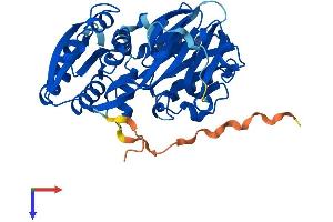SPHK1 Protein (AA 1-384) (His tag)