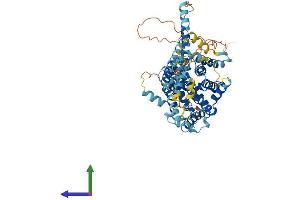 Protein Structure (PS) image for Solute Carrier Family 34 (Sodium Phosphate), Member 3 (SLC34A3) (AA 1-601) protein (His tag) (ABIN7558310)