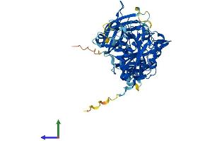 Protein Structure (PS) image for Copine IX (CPNE9) (AA 1-553) protein (His tag) (ABIN7556999)