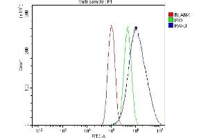 Flow Cytometry analysis of PC-3 cells using anti-PAK3 antibody (ABIN7599182). (PAK3 Antikörper  (AA 1-263))