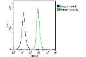 Overlay histogram showing A549 cells stained with (ABIN1881685 and ABIN2842377) (green line). (PRODH Antikörper  (AA 130-155))