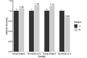 The Human Zonulin ELISA Kit was tested for linearity of dilution by using different dilutions of appropriate samples and testing for recovery using the SOP. (Zonulin ELISA Kit)