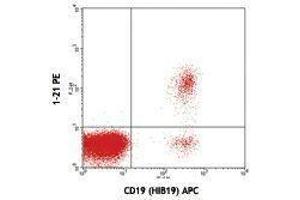 Flow Cytometry (FACS) image for anti-T-Cell Leukemia/lymphoma 1A (TCL1A) antibody (PE) (ABIN2663891) (TCL1A Antikörper  (PE))