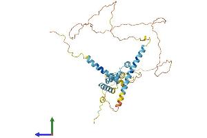 Protein Structure (PS) image for arginine/serine-Rich Coiled-Coil 2 (RSRC2) (AA 1-376) protein (His tag) (ABIN7561984)