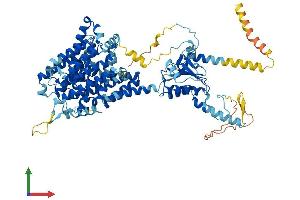 AlphaFold protein structure predicition of Mouse Recombinant Slc26a4 Protein, UniprotID Q9R155