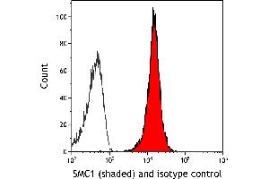 Flow Cytometry (FACS) image for anti-Structural Maintenance of Chromosomes 1A (SMC1A) (C-Term) antibody (ABIN7455193) (Rekombinanter SMC1A Antikörper  (C-Term))
