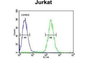 Flow cytometric analysis of Jurkat cells using GNAT1 Antibody (C-term) Cat. (GNAT1 Antikörper  (C-Term))