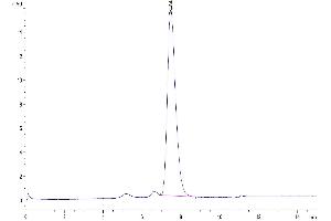 The purity of Human CD3 delta is greater than 95 % as determined by SEC-HPLC. (CD3D Protein (AA 22-105) (His tag))