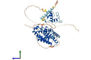Protein Structure (PS) image for RAR-Related Orphan Receptor A (RORA) (AA 1-523) protein (His tag) (ABIN7563380)
