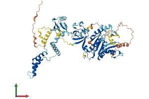 Protein Structure (PS) image for Membrane Protein, Palmitoylated 4 (MAGUK P55 Subfamily Member 4) (MPP4) (AA 1-635) protein (His tag) (ABIN7558009)