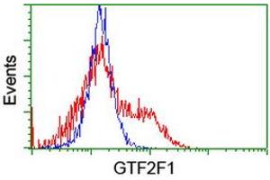 HEK293T cells transfected with either RC201294 overexpress plasmid (Red) or empty vector control plasmid (Blue) were immunostained by anti-GTF2F1 antibody (ABIN2454912), and then analyzed by flow cytometry. (GTF2F1 Antikörper)