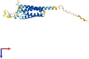 NKAIN2 Protein (AA 1-208) (His tag)